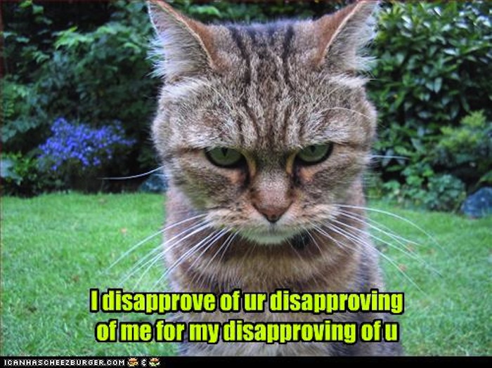 disapprove