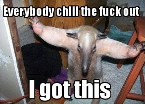 I got this