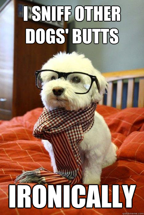 hipster dog